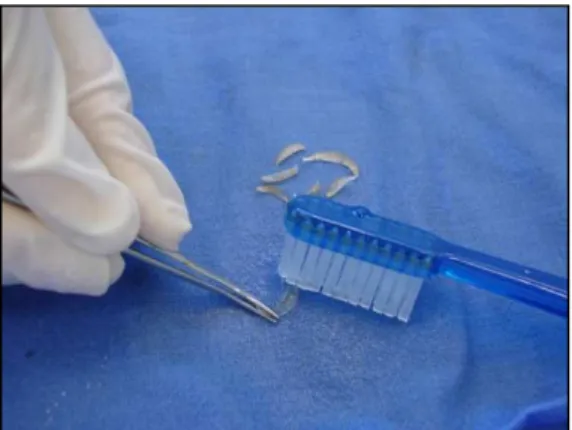 Figura 9  –  Unhas de cada criança foram limpas com água deionizada usando uma escova  dental