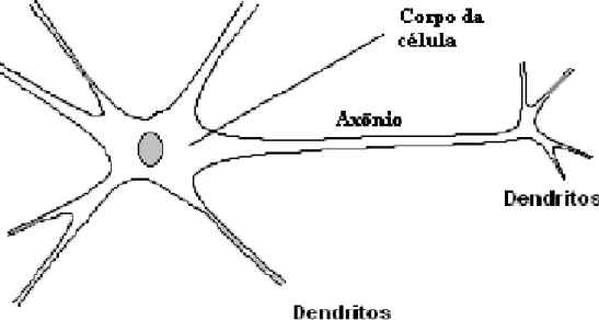Figura 1-1 Modelo de um neurônio biológico