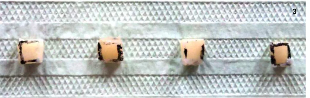 Figura 3  –  Blocos de esmalte com área de 5x5mm obtidos após corte com disco  diamantado dupla face