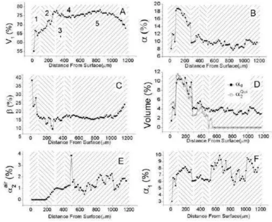 Fig.  2.  Plots  of  quantitative  component  volumes  found  along  the  transversal  shown  in  Fig