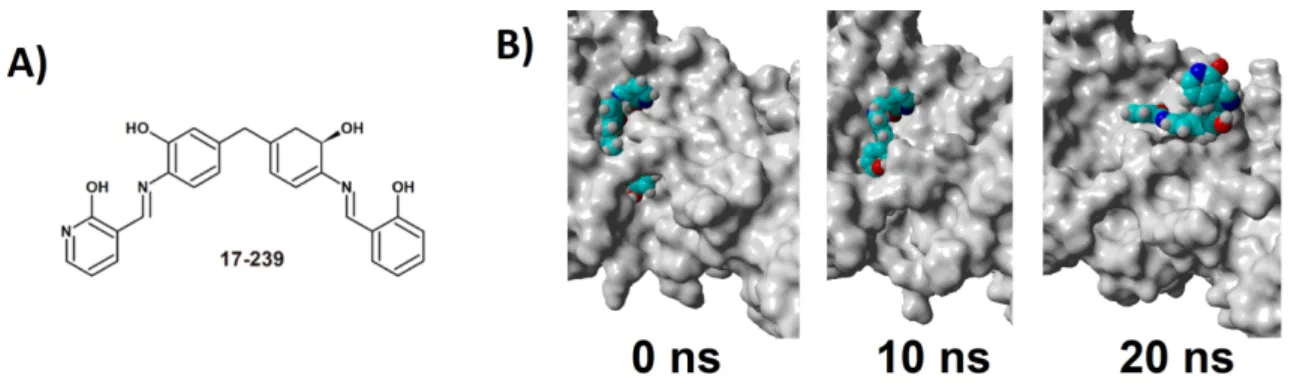 Figure 7. A) Chemical structure of candidate 17-239. B) Evolution of the binding mode of 17-239
