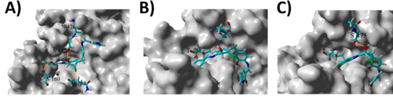 Figure 9. The three binding modes visited by candidate 17-275. Lys159 has been deleted for clarity.
