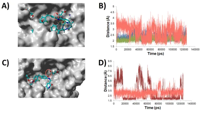 Figure 5.  A) Representative snapshot of the binding mode found in the first simulation of the complex with 17-061