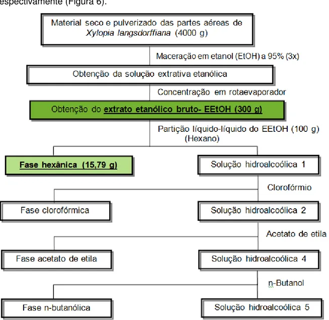 Figura  6  -  Marcha  fitoquímica  para  obtenção  do  EEtOH  e  da  FaHex  das  folhas  de  Xylopia  langsdorffiana