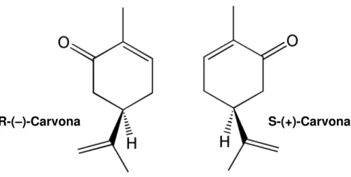 Figura 8 – Estrutura química dos enantiômeros de carvona. 