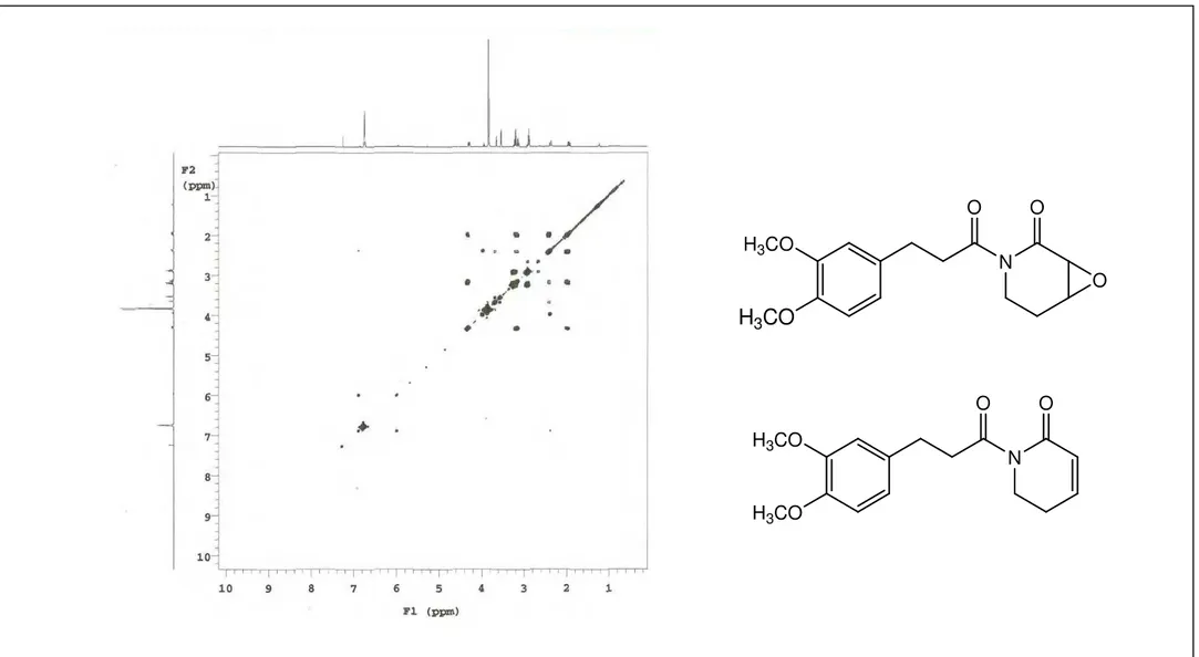Figura 10: Espectro de Correlação Homonuclear RMN  1 H x  1 H - COSY de Pa-1 (CDCl 3 , 500 MHz) H3CO NH3COO OH3CONH3COOOO
