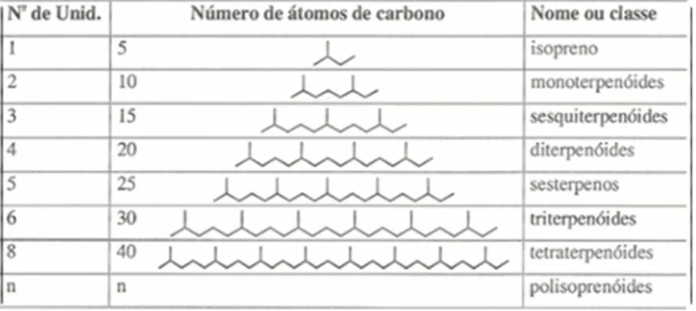 Figura 4. Moléculas do citral (A) e do carvacrol (B). 