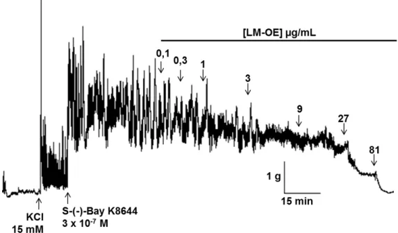 Figura 6  –  Registros originais representativos do efeito do óleo LM-OE (0,1 - 81 µg/mL)  sobre  as  contrações  tônicas  induzidas  por  3 x 10 -7   M  de  S-(-)-Bay  K8644  em  íleo  de  cobaia parcialmente despolarizado 