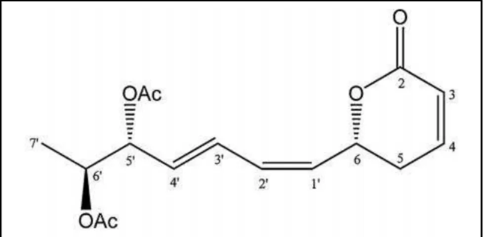 Figura 9- Estrutura química do Hiptenolideo.