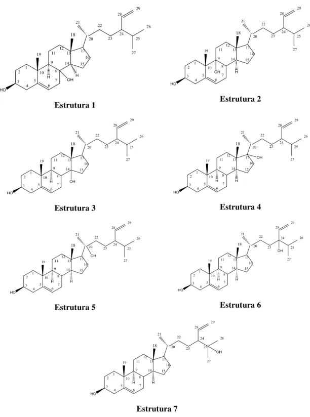 Figura 30. Possibilidades estruturais para Hm-1. 