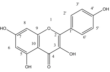 Figura  28:  Estrutura  de  Vg4,  3,5,7-trihidroxi-2-(4-hidroxifenil)-4H-cromen-4-ona   (Canferol)