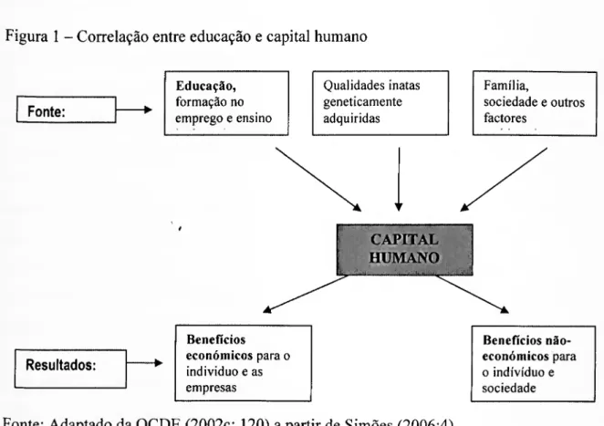 Figura 1 - Correlação entre educação e capital humano 