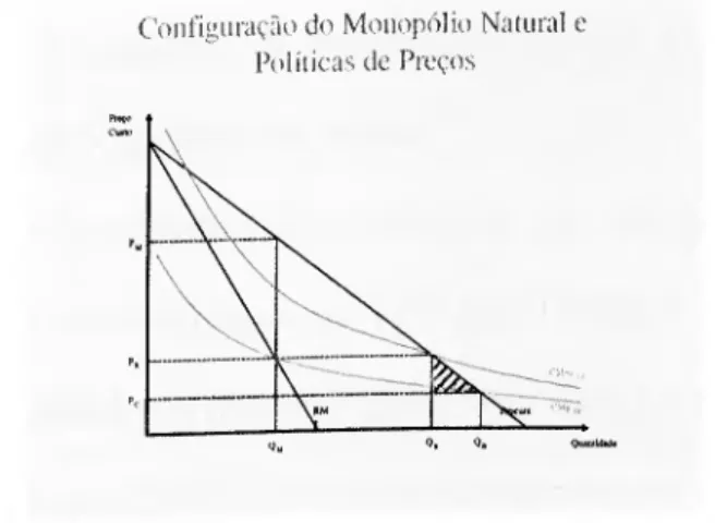 Figura 1-3- Configuração do Monopólio Natural e Políticas de Preços 
