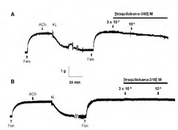 Figura 6  –  Registro original representativo do efeito do traquilobano-360 (A), e do  traquilobano-318 (B) na ausência de endotélio funcional em aorta isolada de rato  pré-contraídas  por  fenilefrina  (Fen)