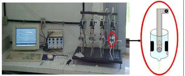 Figura 6: Sistema de cubas e aquisição de dados de tensão isométrica para órgãos isolados