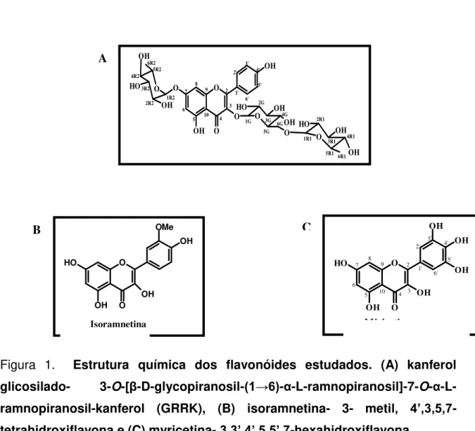 Figura  1.    Estrutura  química  dos  flavonóides  estudados.  (A)  kanferol  glicosilado-  3-O- [β -D-glycopiranosil- (1→6) - α -L-ramnopiranosil]-7-O- α  -L-ramnopiranosil-kanferol  (GRRK),  (B)  isoramnetina-  3-  meti l,  4’,3,5,7  -tetrahidroxiflavon