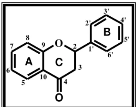 Figura 2.  Estrutura química do núcleo básico de flavonóides. 