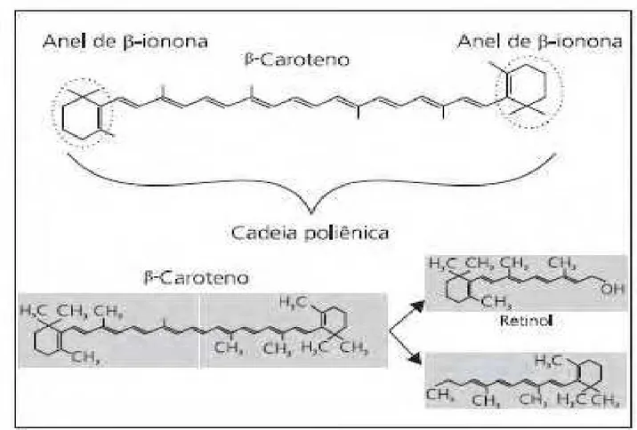 Figura 2 – Moléculas de Retinol e β – caroteno  ( Fonte: AMBRÓSIO; CAMPOS; FARO, 2006) 
