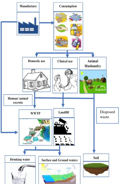 Figure 1. Pharmaceutical emission pathways into the aquatic and  terrestrial environment 