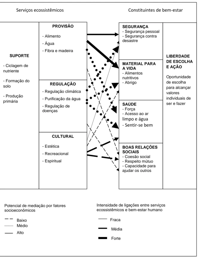 Figura 2.1: Relações entre serviços ecossistêmicos e bem-estar humano  Fonte: adaptada de MEA (2005, p.19)