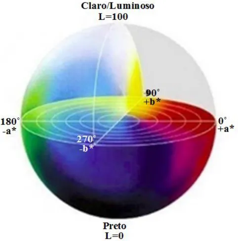 Figura  2.3  -  Diagrama  tridimensional  do  espaço  de  cor  CIELAB.  (Fonte: 