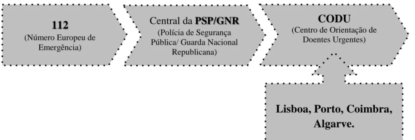 Figura 5 - Acionamento do serviço de emergência médica (INEM, 2013). 