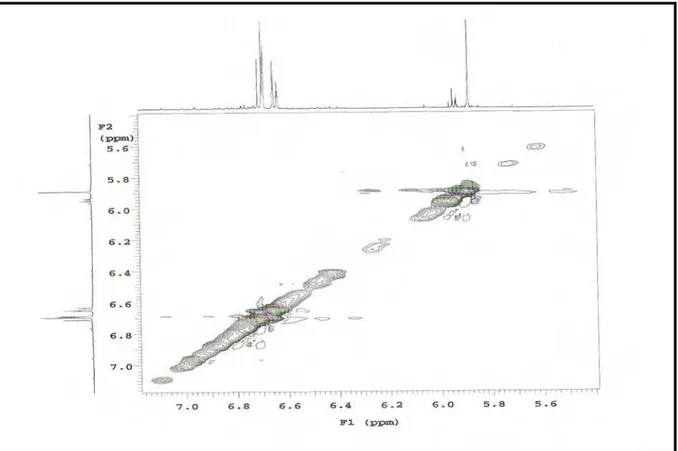 Figura 24 . Expansão do espectro de NOESY de Pl-1 na região de 7,0 – 5,4 x 7,0 – 5,4 ppm 