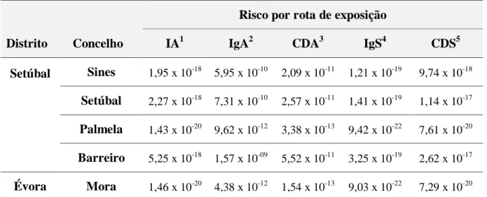 Tabela 26. Quantificação do Risco Cancerígeno do Níquel, para as diferentes rotas de exposição