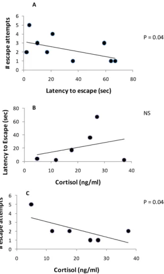 Fig. 2 depicts the pronounced individual variation in different oxygen consumption parameters obtained after transfer to respirometry chambers