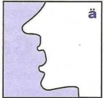 Figura 4:  Representação fonética do som vocálico “ä”. Ref.: COOK, Ann, American Accent  Training, 