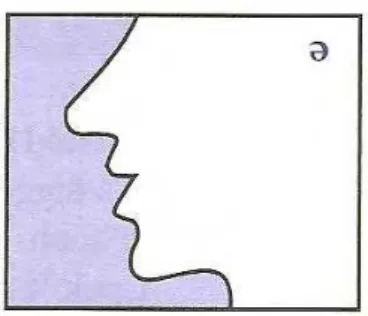 Figura 5:  Representação fonética do som vocálico “ə” (SCHWA).  Ref.: COOK, Ann, American  Accent Training, 
