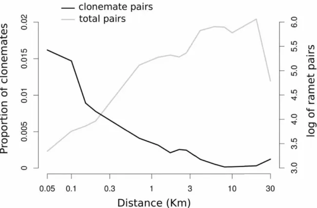 Fig 2. Change with distance between sample units in the proportion of clonemates pairs