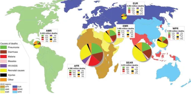 Figura 1: Distribuição mundial das causas de óbitos em crianças menores de cinco anos