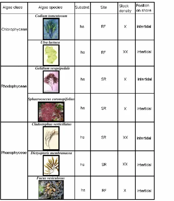 Table 1: The 7 algae species for the induction experiment with a description of the collection  areas