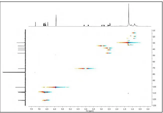 Figura 31  –  Expansão do espectro de correlações  1 H X  13 C - J CH  - HMQC de Hs-3 (CDCl 3 , 500 e 125  MHz) 