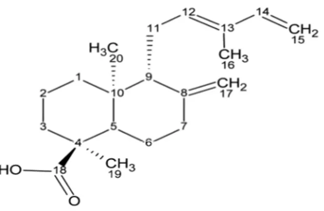 Figura 2. Estrutura química do ácido 8(17),12E,14-labdatrieno-18-óico (labdano- (labdano-302)