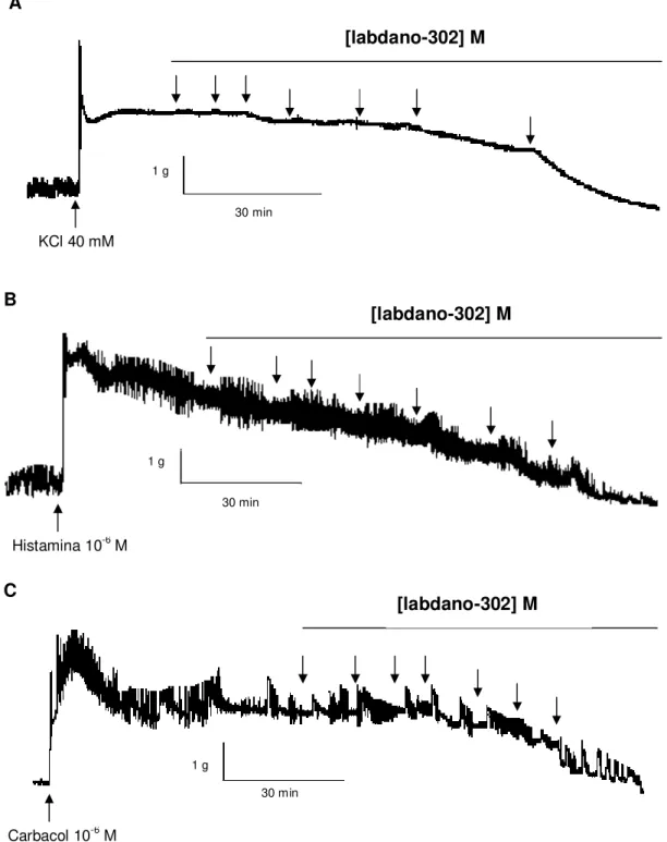 Figura  5.  Registros  originais  do  efeito  relaxante  de  labdano-302  sobre  as  contrações  tônicas  induzidas  por  40  mM  de  KCl  (A),  10 -6   M  de  histamina  (B)  e  10 -6   M  de  carbacol  (C)    em  íleo  isolado  de  cobaia