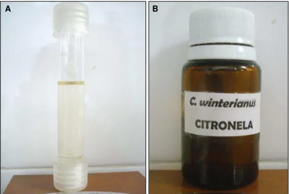 FIGURA  9.  Aspecto  visual  do  óleo  essencial  de  C.  winterianus  (A)  e  embalagem de conservação (B)