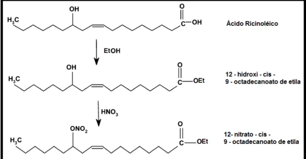 Figura 3  –  Reações para obtenção do NCOE  Fonte: SUPPES et al. 2003 