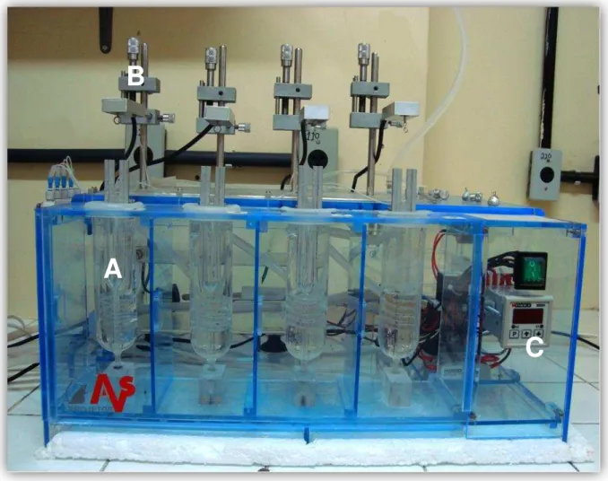 Figura 5  –  Foto do sistema de banhos para órgãos isolados formado por cubas (A),  transdutores isométricos (B) e bomba termostática (C) 