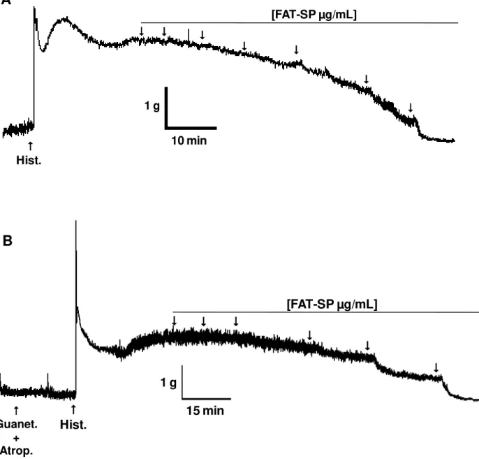 Figura  7  –   Registros  típicos  representativos  do  efeito  relaxante  da  FAT-SP  sobre  as  contrações  tônicas  induzidas  por  10 -6   M  de  histamina  na  ausência  (A)  e  na  presença  de  3 µM  de guanetidina e 1 µM de atropina (B) em íleo iso