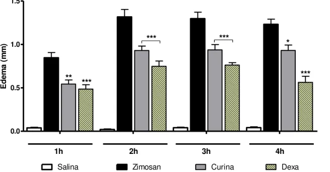 Gráfico 2- Efeito do tratamento oral com a curina sobre o edema de pata induzido  pelo zimosan 
