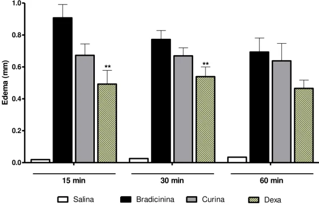 Gráfico 5: Efeito do tratamento oral com a curina sobre o edema de pata  induzido por Bradicinina