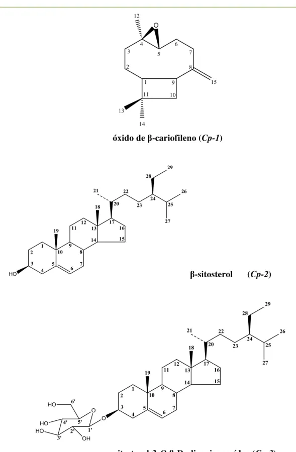 Tabela 10. Estrutura química dos constituintes isolados de Croton polyandrus 