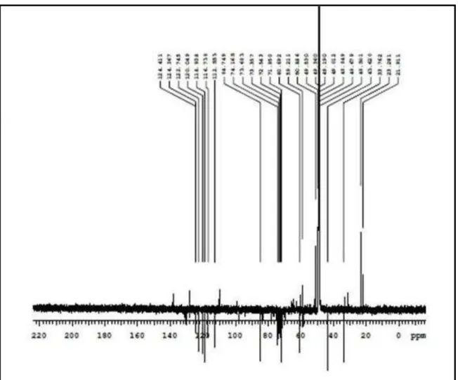 Figura 6. Espectros de RMN de  13 C da substância Ps-05 