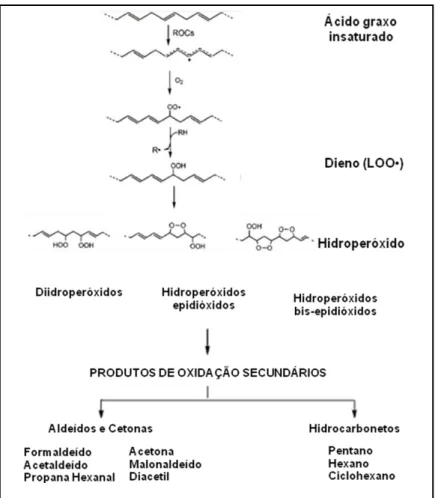 Figura 5  –  Mecanismo da peroxidação lipídica FONTE: Adaptado de MOON; SHIBAMOTO, 2009