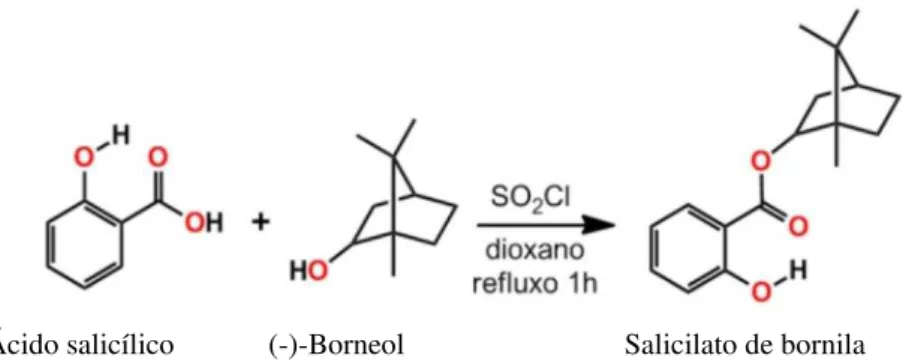 Figura 4. Obtenção do salicilato de bornila a partir da esterificação do ácido salicílico com o monoterpeno (-)- (-)-borneol