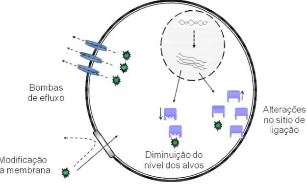 Figura 9 – Mecanismos de resistência fúngica aos antifúngicos. 