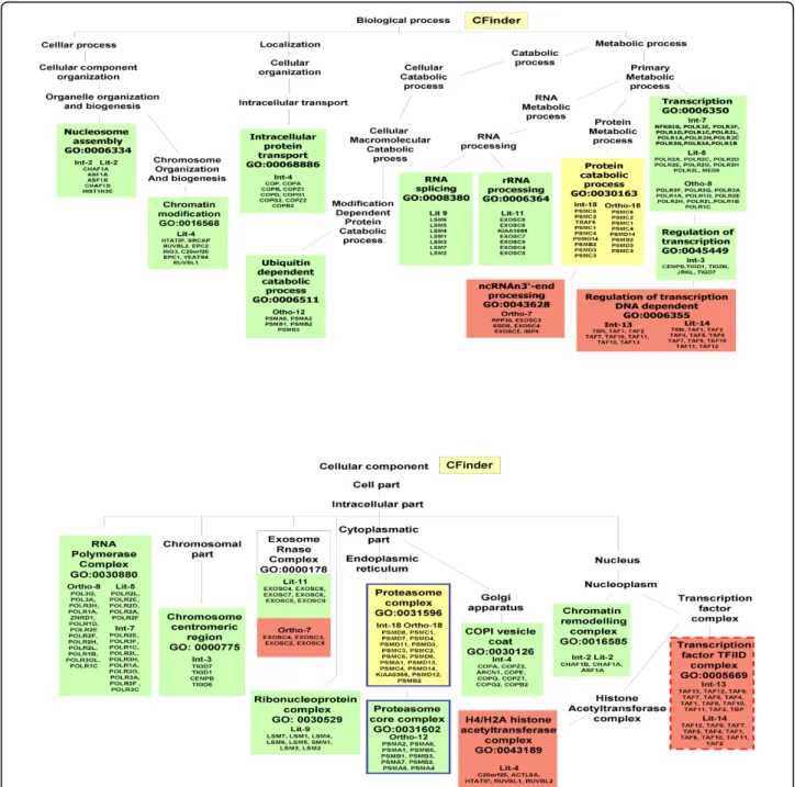 Figure 3 GO-annotation results - Cfinder. Representation of GO-annotation results concerning biological process and cellular component of CFinder modules, along the GO trees