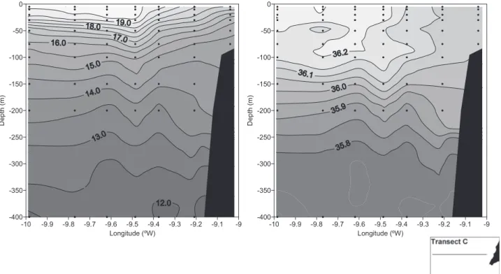 Fig. 4. Vertical ﬁelds of temperature (left) and salinity (right) along a cross-shore transect anchored in the ﬁlament root